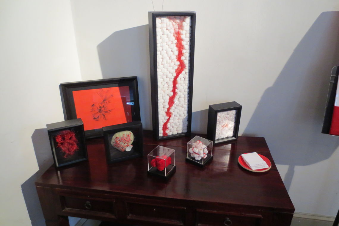 2013 09 cfeva postour anahernandezfibers byamyscheidegger 4