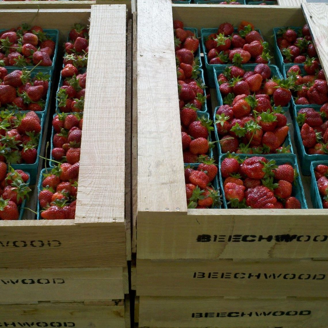 Beechwood Orchards