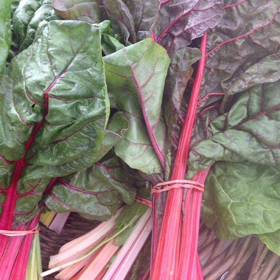 Taproot Farm