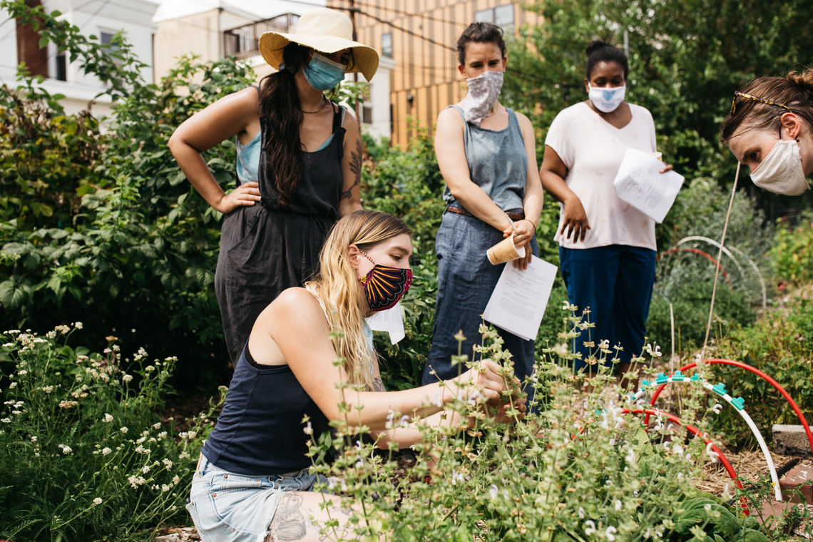 terra garden class 1